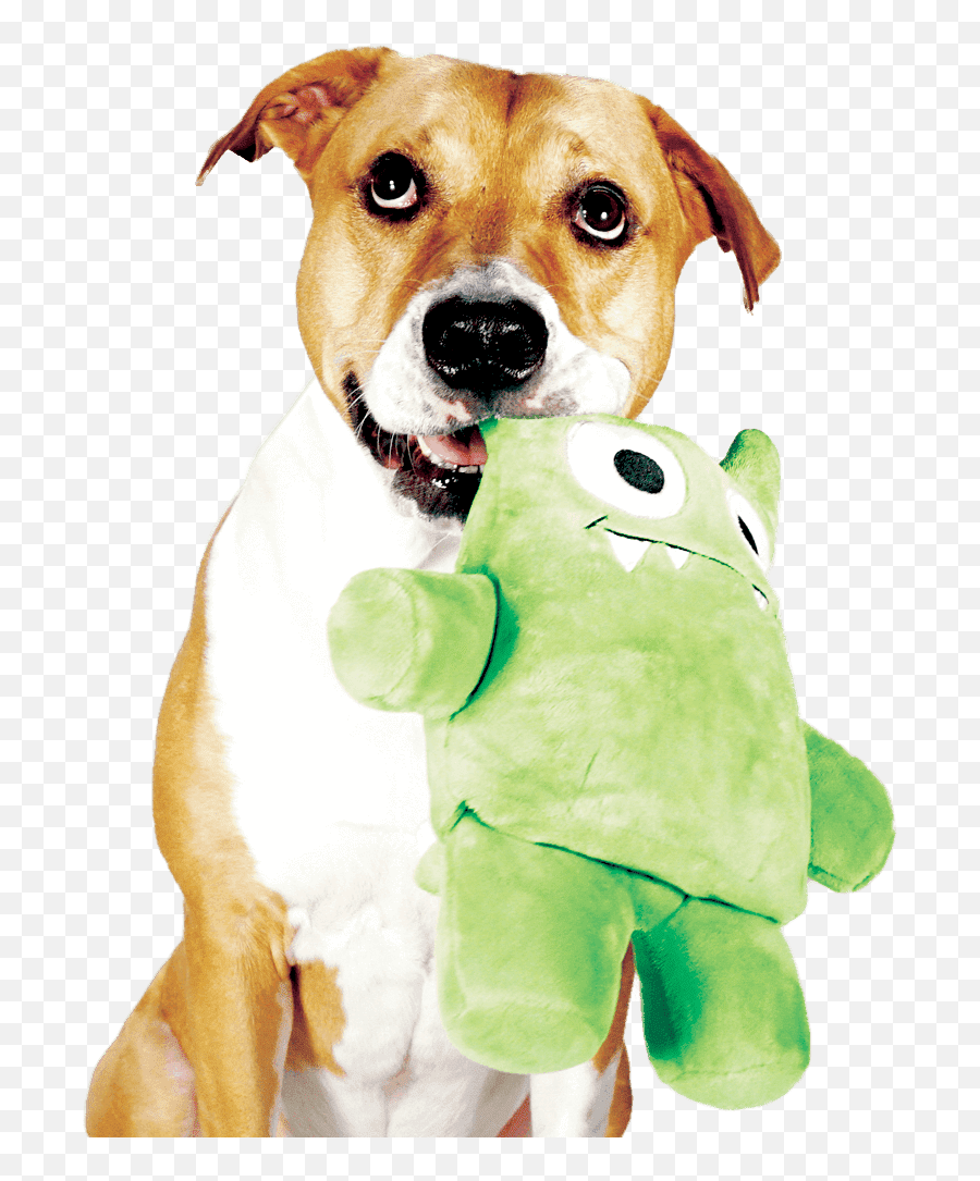 Tearribles - Kickstarter Dog Toy Png,Dog Toy Png