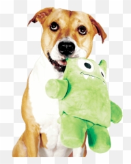 Tearribles - Kickstarter Dog Toy Png,Dog Toy Png