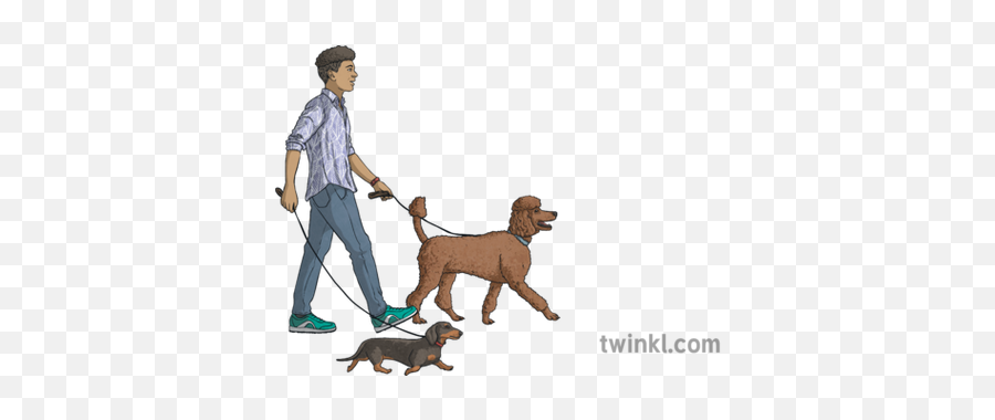 Young Man Walking Dogs Animals People - Ancient Dog Breeds Png,People Walking Dog Png