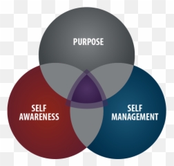 Services - Truly Productive Leadership Sanctuary Virgin Mary Of The Rosary Of San Nicolas Png,Venn Diagram Logo