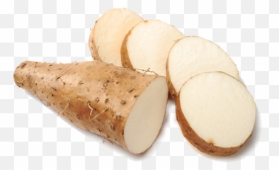 Yam U2013 Wrcdesibazaar - Chinese Yam Png,Yam Png