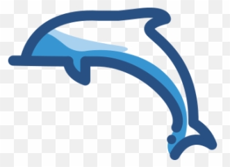Dolphin Nautical Marine Animal - Common Bottlenose png