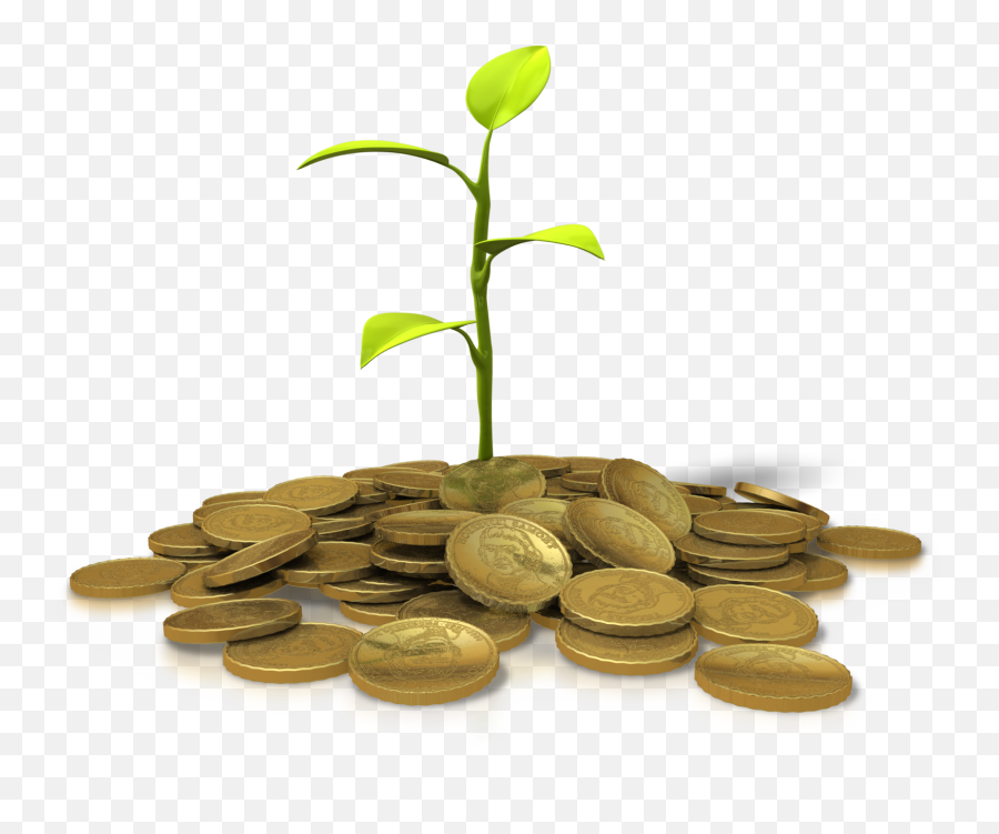 Plant Growing From A Pile Of Gold Coins - Investing Png,Pile Of Gold Png