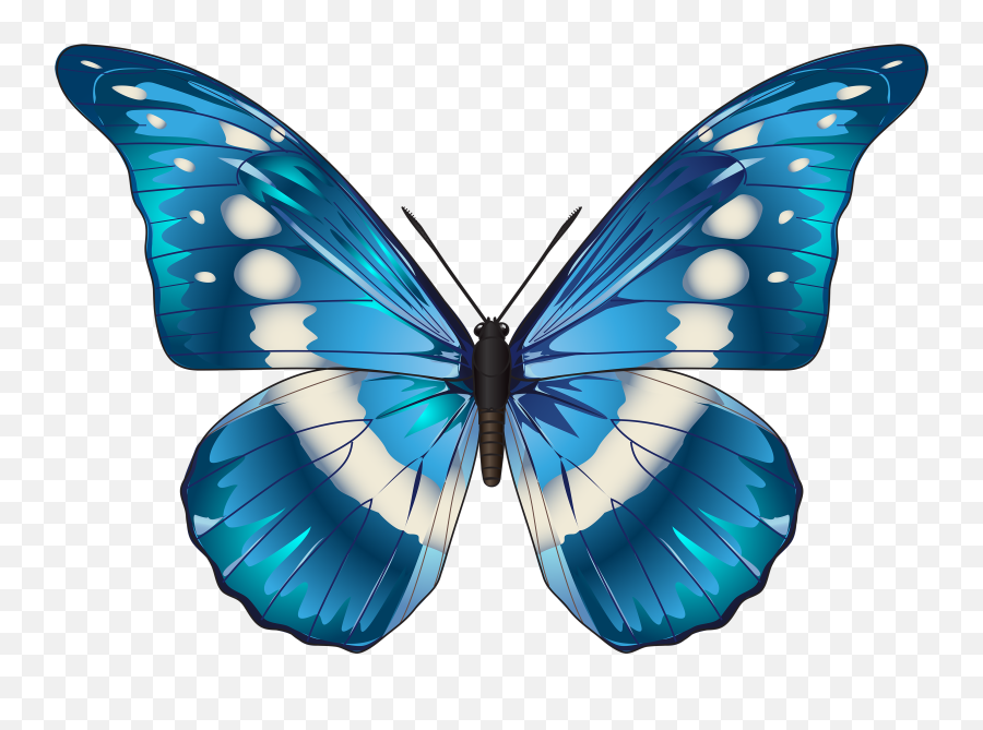 Butterfly Blue Png Clip Art Image - Transparent Background Butterfly Clipart,Butterflies Transparent Background