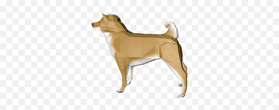 Top Shiba Inu Videos Stickers For Android U0026 Ios Gfycat - Shiba Inu Gif Transparent Png,Doge Transparent Background