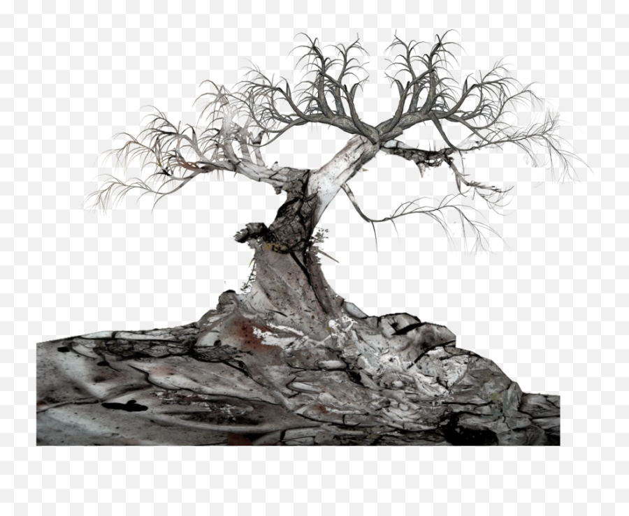 Download Free Png Old Tree - Hanging From Tree Png,Old Tree Png