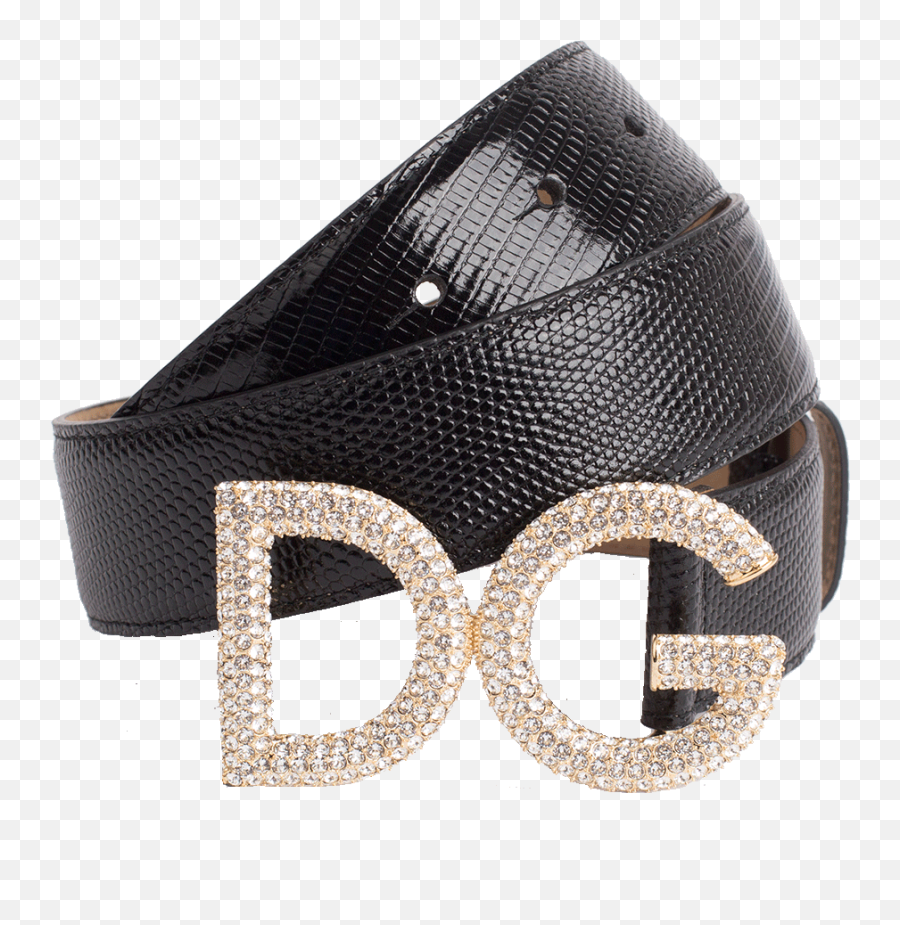Iguana Dg Crystal Logo Belt Marissa Collections Png Dolce And Gabbana