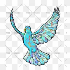 Dove Bird Png Image With Transparent Background - Photo 499