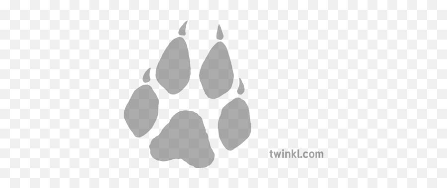 Wolf Paw Grey Illustration - Illustration Png,Wolf Paw Png