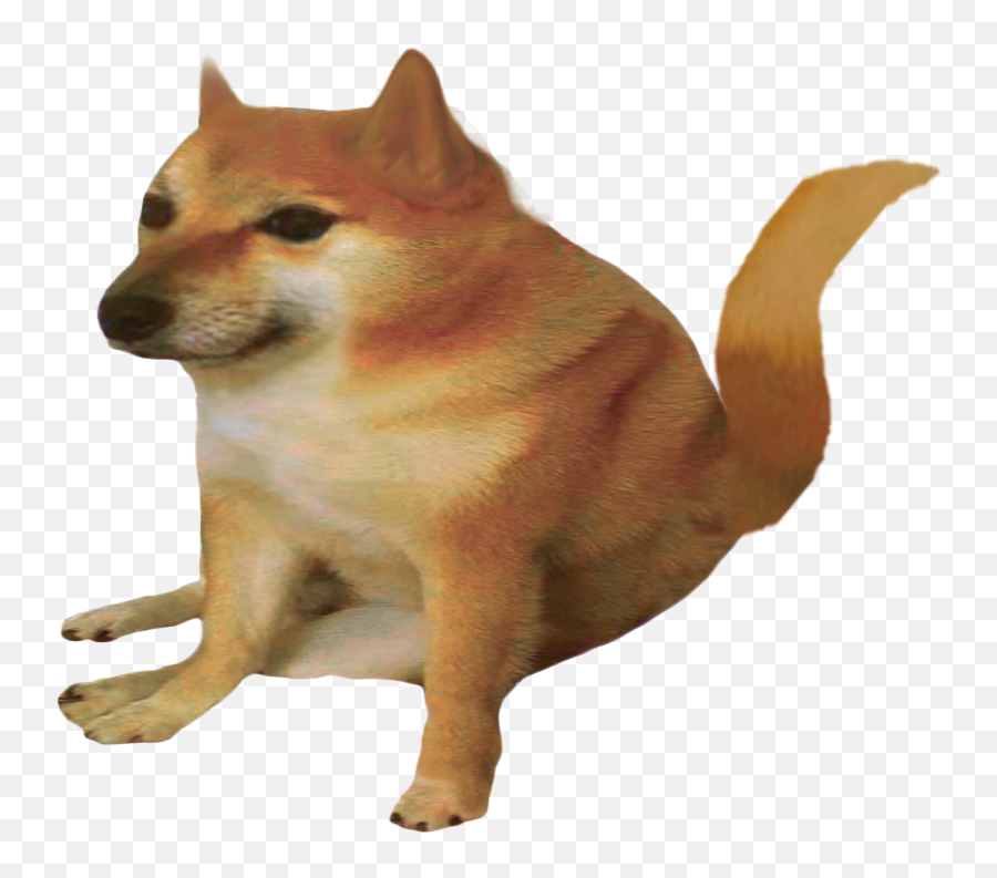 Foxe Kit Png - Cheems Png,Doge Png