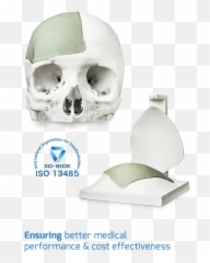 Skullpt - Skull Png,3d Skull Png