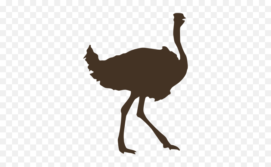 Ostrich Silhouette Side View - Transparent Png U0026 Svg Vector File Ostrich,Ostrich Png