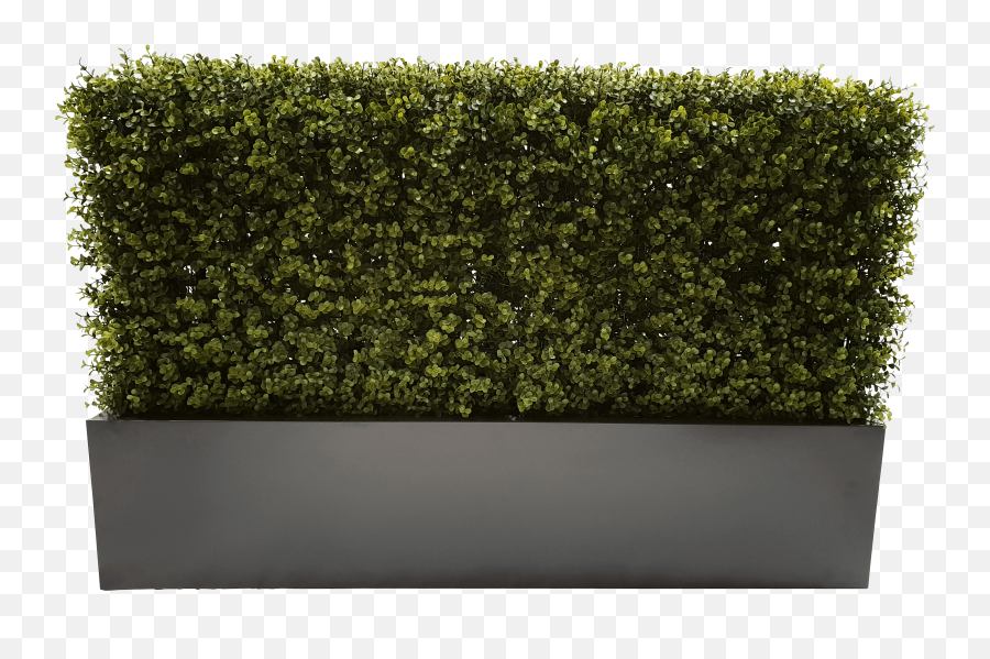 Download Hd 100cm Grey Planter - Planter Hedge Transparent Background Png,Hedge Png