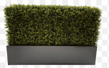 Download Hd 100cm Grey Planter - Planter Hedge Transparent Background Png,Hedge Png