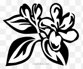 Honeysuckle Royalty Free Vector Clip - Honeysuckle Vector Png,Honeysuckle Png