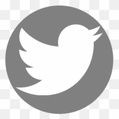 Twitter - Transparent Circle Png