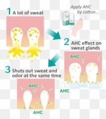 Sweat Glands Transparent Png Image - Dot