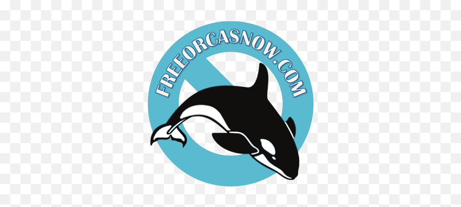 Pin - Orca Whale Clipart Black And White Png,Whale Transparent