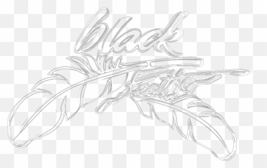 Privacy U2014 Black Feather Jewelry - Decorative png