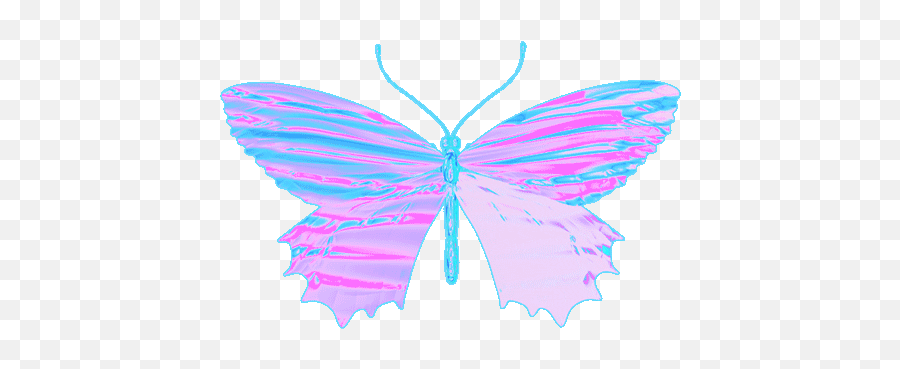 Latest Project - Lowgif Simon Falk Butterfly Gif Png,Butterfly Gif Transparent