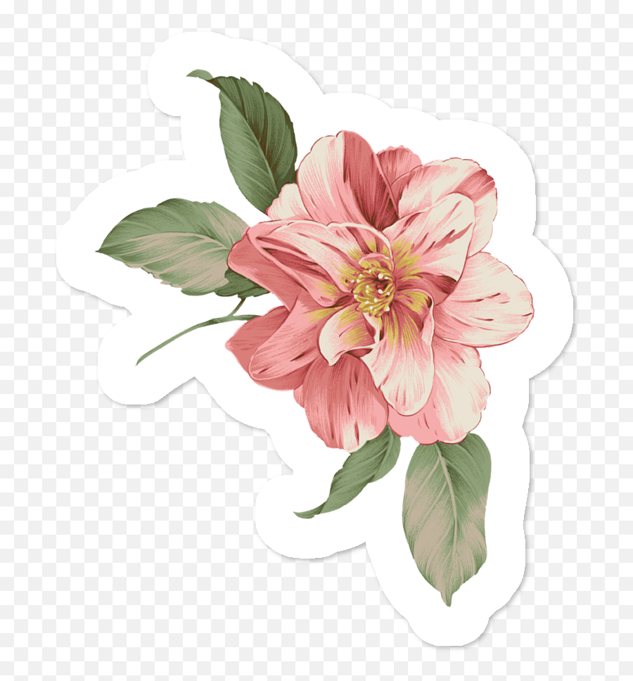 Flowering Flower Art Pattern Drawing Vector Flowers - Flor Png Rosa 3d,Sakura Flower Png