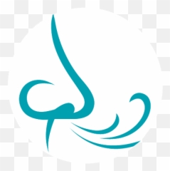 Salt Therapy Halotherapy - The Rock Spa 396b Victoria St Vertical Png,Sapping Icon