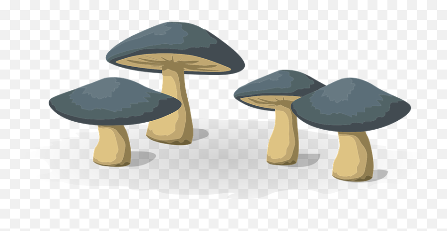 Food Mushrooms Mushroom Vectors - Wild Mushroom Png,Mushrooms Icon