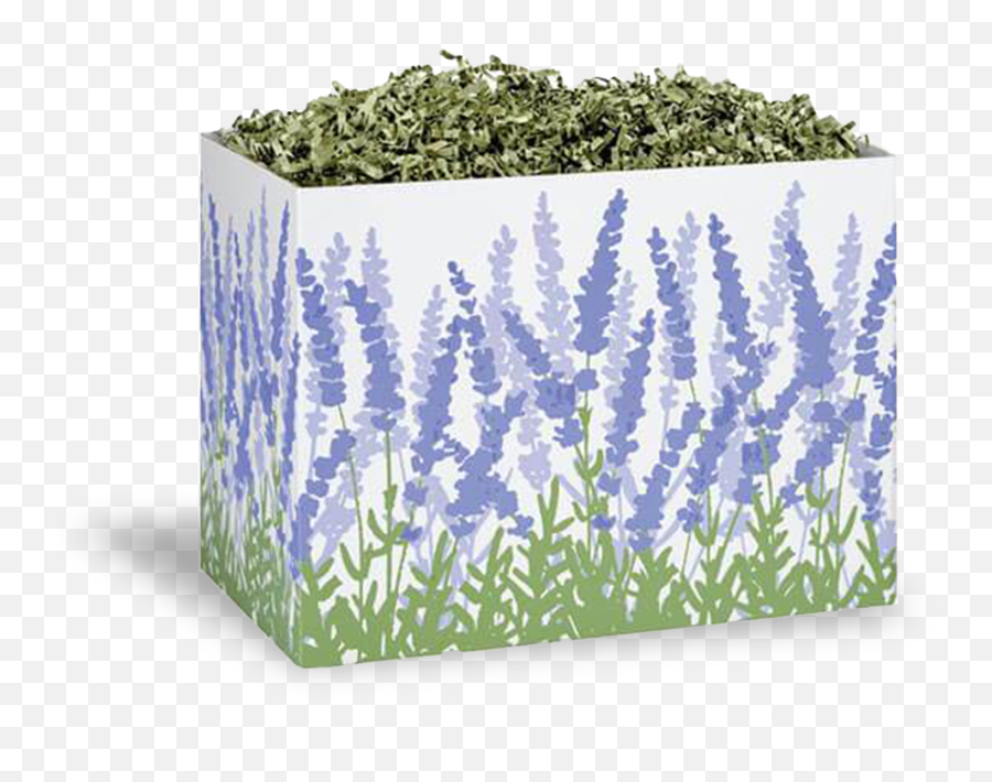 Lavender Gift Set - Lavender Gift Basket Mothers Day Png,Blue Bonnet Icon