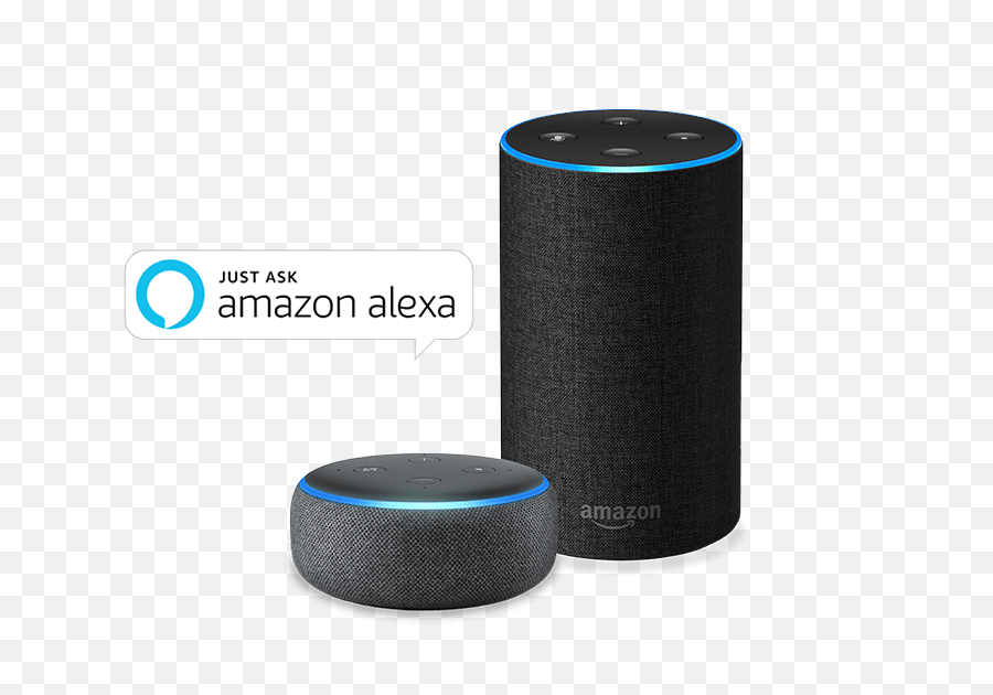 Amazon Alexa Skills Entwicklung Codeevoo - Alexa Png,Amazon Echo Png