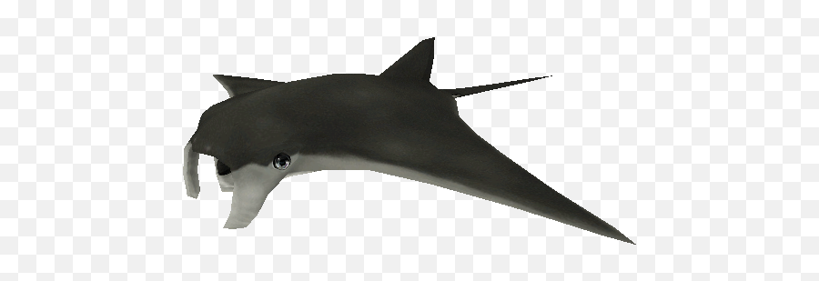 Pc Computer - Zoo Tycoon 2 Manta Ray Baby The Models Cartilaginous Fishes Png,Manta Ray Icon