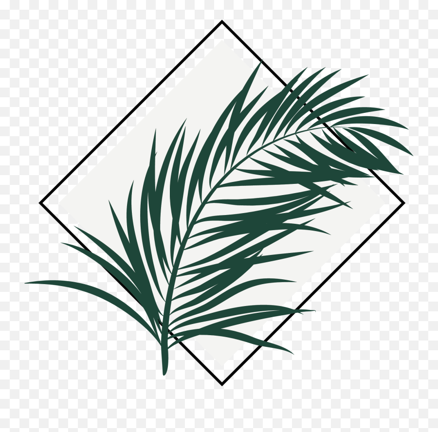 Yoga Jungle Aerial Studio - Vertical Png,Palm Frond Icon