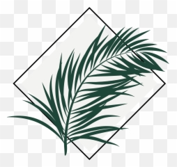 Yoga Jungle Aerial Studio - Vertical png