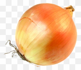 Onion Png Transparent Images All - Transparent Image Of Onion,Onion Png