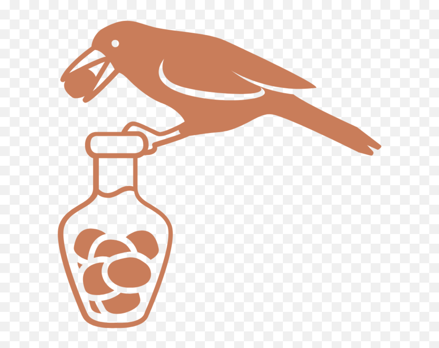 Nathaniel A Rivers - Songbirds Png,Nathan Icon Bottle