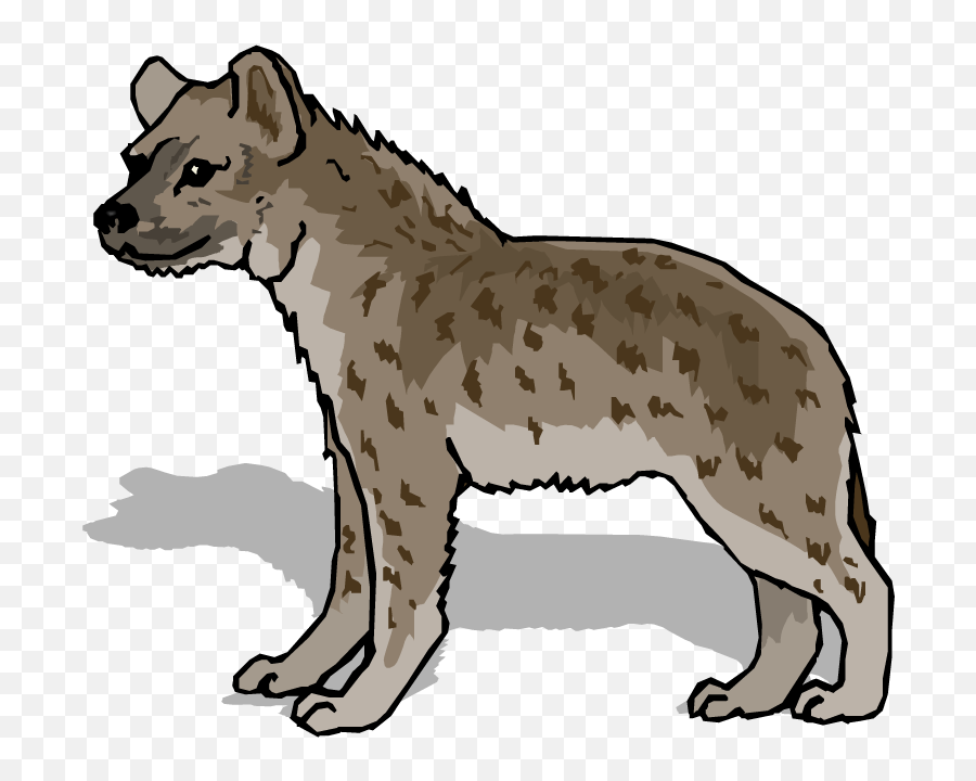 Hyena Png - Hyena Clip Art,Hyena Png