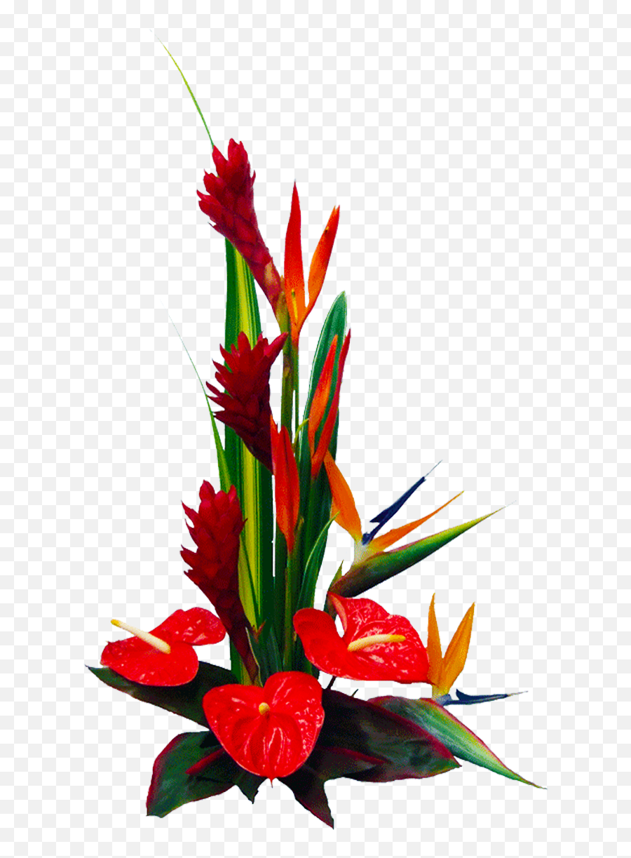 Hawaii Png Hd Transparent Hdpng Images Pluspng - Red Anthurium Arrangement,Hawaiian Flowers Png