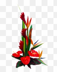 Hawaii Png Hd Transparent Hdpng Images Pluspng - Red Anthurium Arrangement,Hawaiian Flowers Png