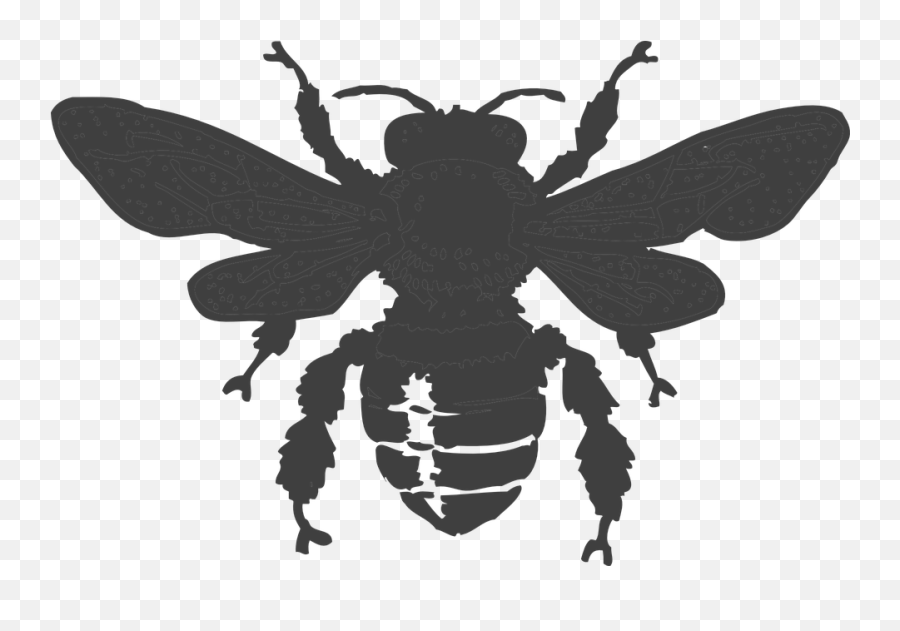 Bee Beehive Honey - Free Vector Graphic On Pixabay Honey Bee Bee Clipart Black And White Png,Beehive Png
