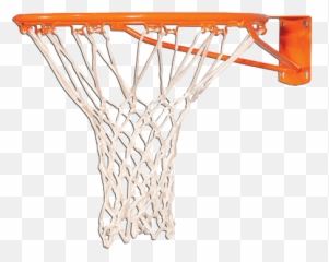 Basket Ball Transparent U0026 Png Clipart Free Download - YWD Basketball Png