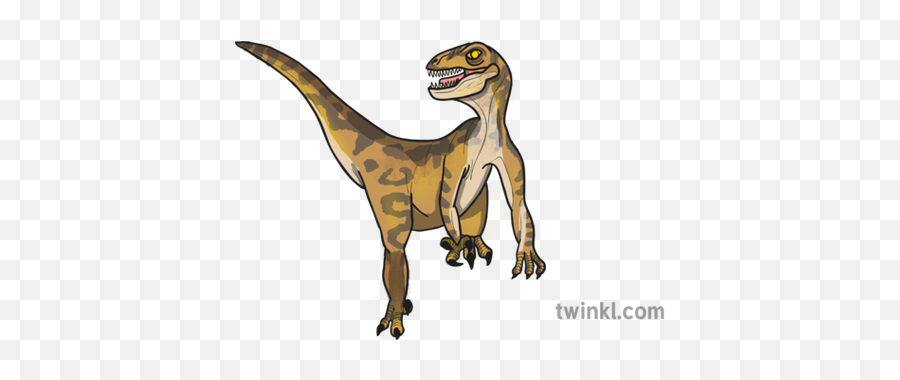 Velociraptor Dinosaur Illustration - Twinkl Animal Figure Png,Velociraptor Png
