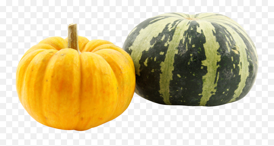 Download Pumpkins Png Image For Free - Pumpkin Images Hd Png,Squash Png