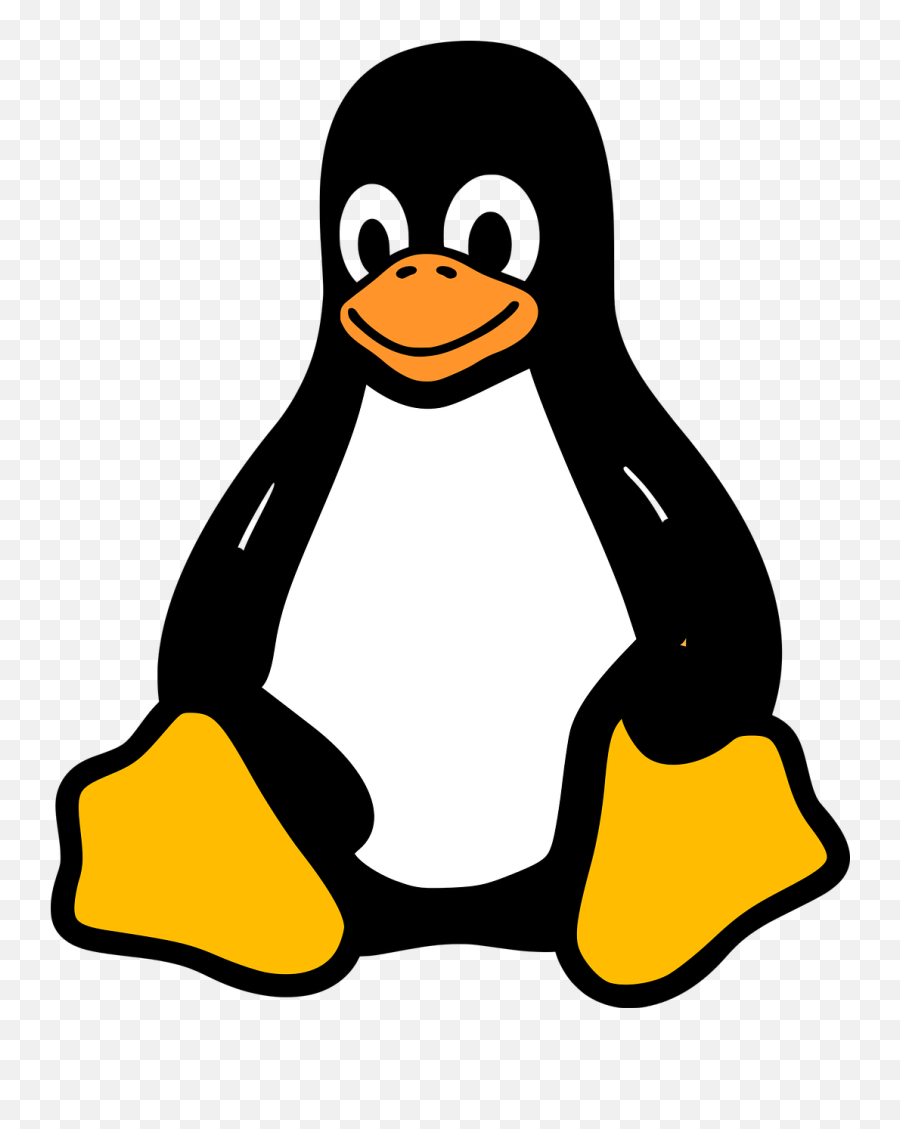 Tux Kernel Racer Penguins Linux Penguin - Linux Png,Penguin Png