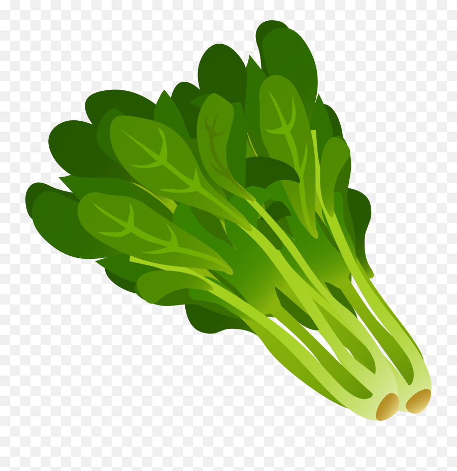 Spinach Png - Green Leafy Vegetables Clipart,Plant Clipart Png