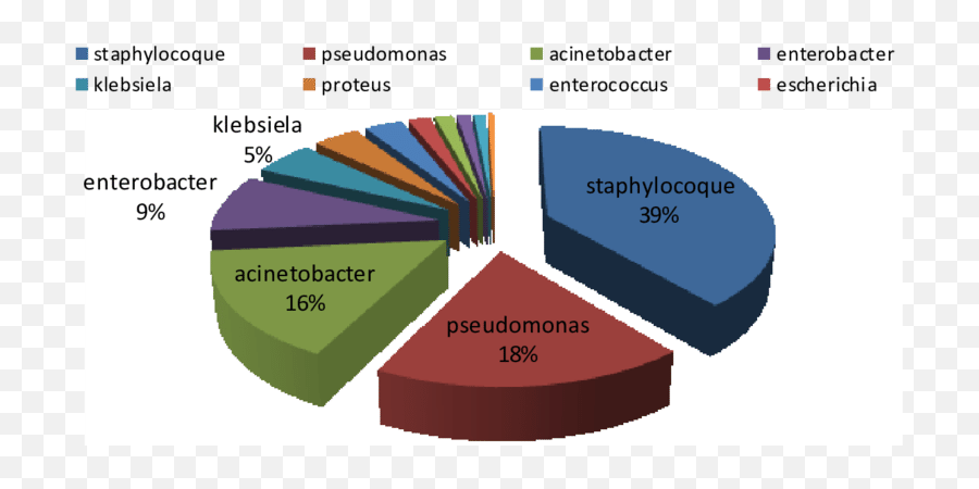 The Allocation Of Burnt Sites According To Germs - Graph Showing Agribusiness Management Png,Germs Png