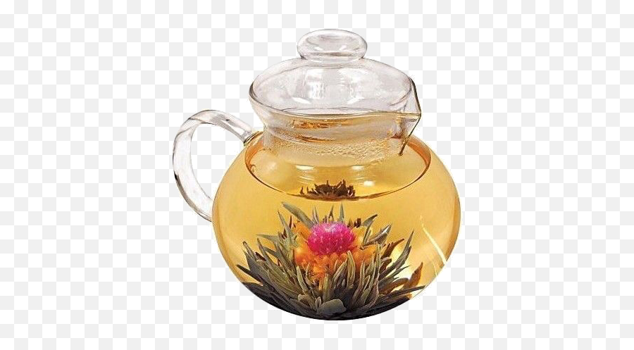 Pngs By Alyssa A Tea Pots Glass Kettle - Tea That Turns Into Flower Png,Tea Pot Png