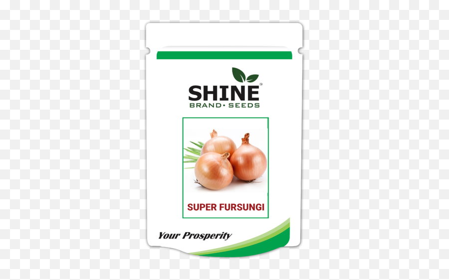 Onion Seeds Super Fursungi - Shine Brand Seeds In Indore Png,Onion Transparent Onion Seeds Super Fursungi - Shine Brand Seeds In Indore Png,Onion Transparent