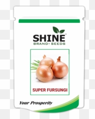 Onion Seeds Super Fursungi - Shine Brand Seeds In Indore Png,Onion Transparent