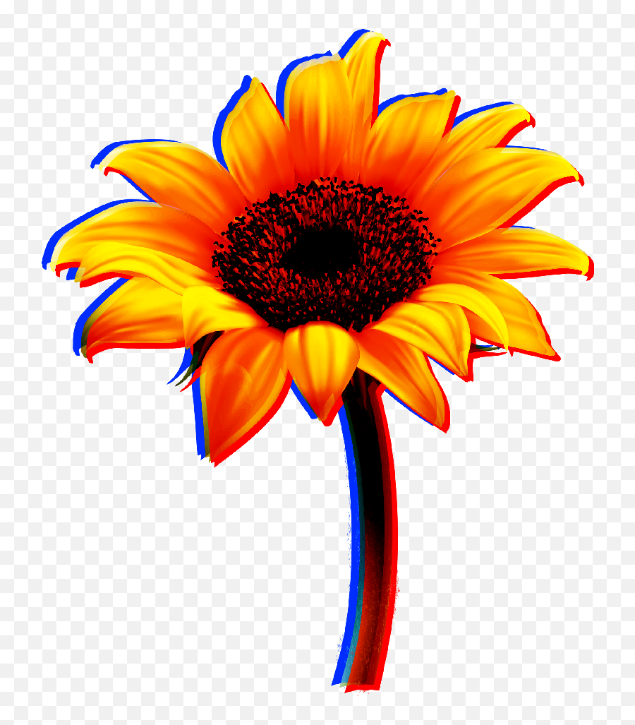 Download Flowers Flower Sunflower Sun Yellow Red - Sunflower Stickers Free Transparent Png,Sunflower Emoji Transparent