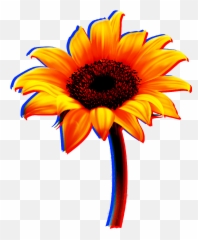 Download Flowers Sunflower Yellow Red - Sunflower Stickers Free Transparent png