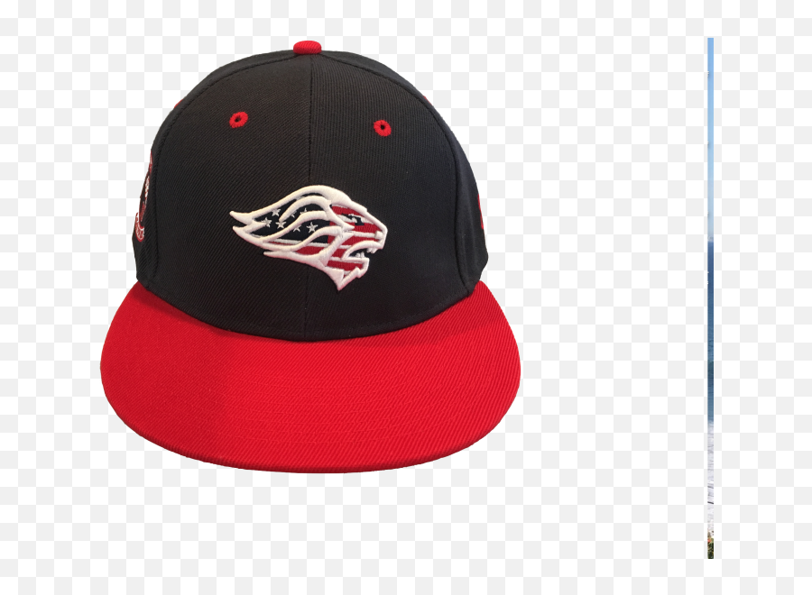 Download Lions Stars U0026 Stripes 10th Anniversary Snap - Back Baseball Cap Png,Stars And Stripes Png